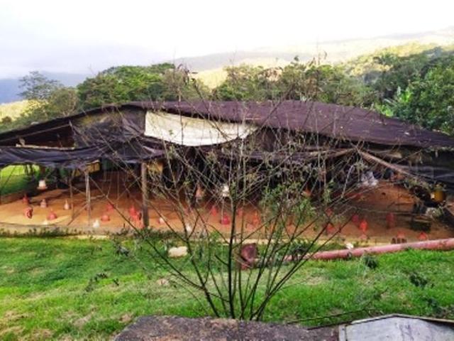Propiedad en venta en Bejuma, Carabobo