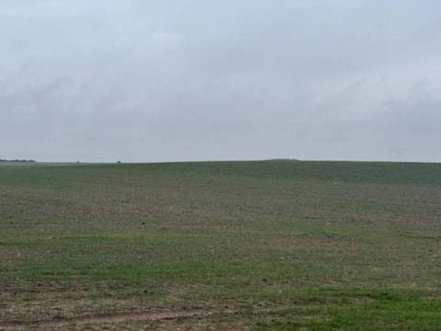 Terreno en venta en Cantalapiedra, Castilla y León