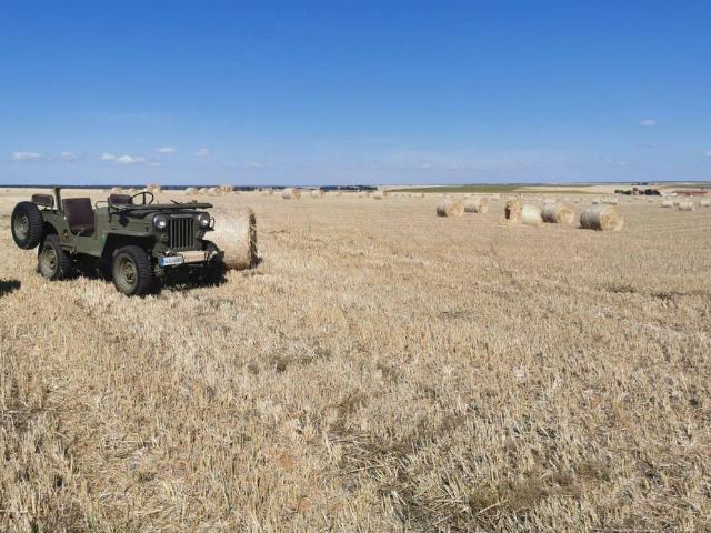 Terreno en venta en Cantalapiedra, Castilla y León