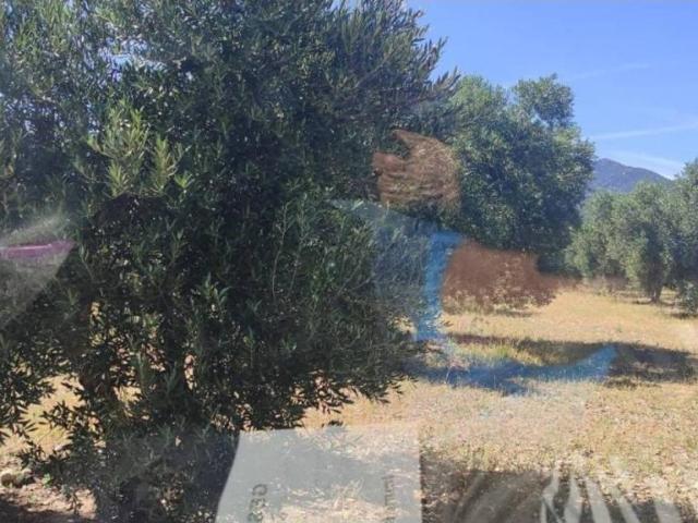 Terreno en venta en Alt Empordà, Catalunya