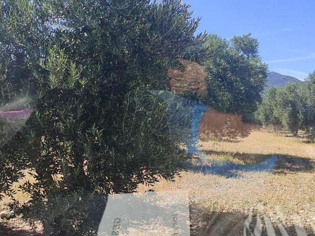 Terreno en venta en Alt Empordà, Catalunya