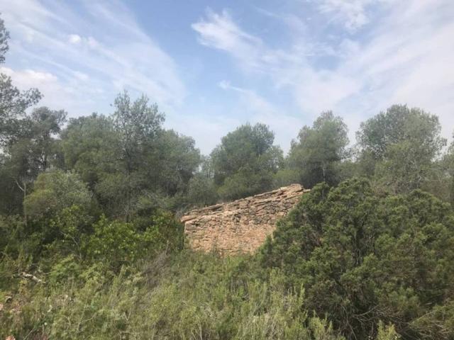 Terreno en venta en Priorat, Catalunya