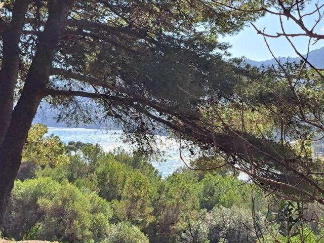 Terreno en venta en Llevant, Baleares