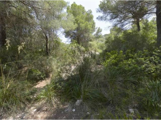 Terreno en venta en Llevant, Baleares