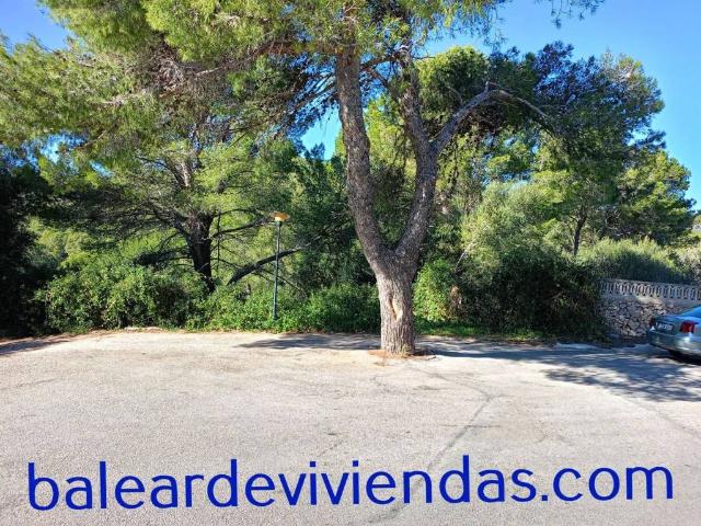 Terreno en venta en sa Pedruscada, Llevant