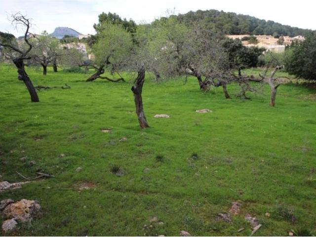 Terreno en venta en Llevant, Baleares