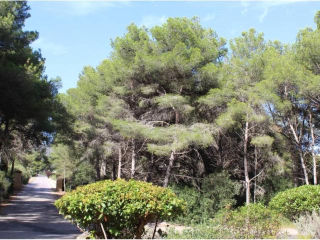 Terreno en venta en sa Costa de Canyamel, Llevant