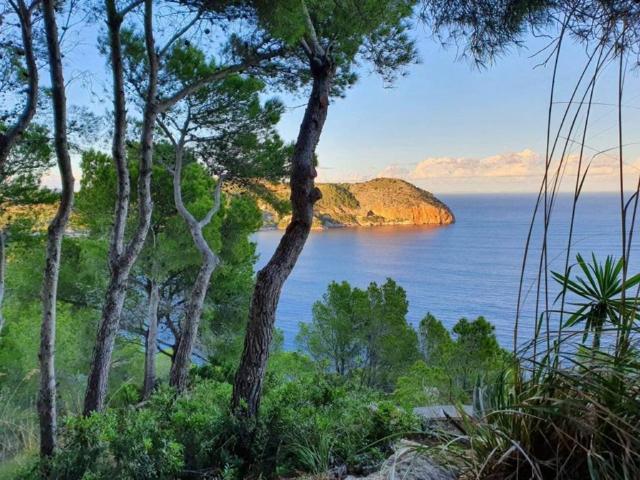 Terreno en venta en Llevant, Baleares