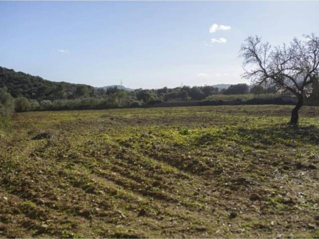 Terreno en venta en Llevant, Baleares