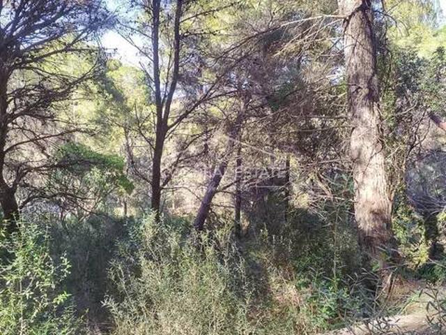 Terreno en venta en sa Font de sa Cala, Llevant