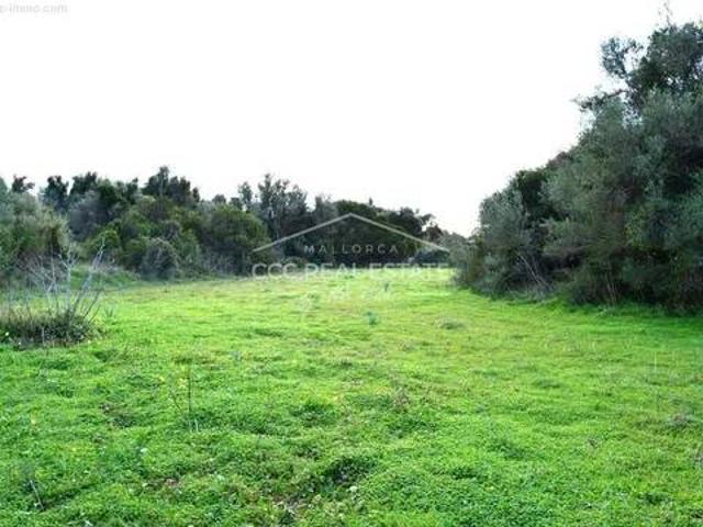 Terreno en venta en Llevant, Baleares