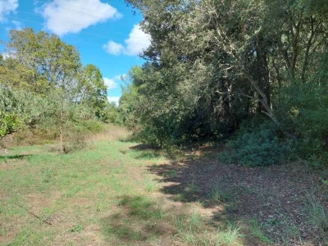 Terreno en venta en Llevant, Baleares