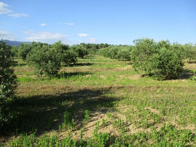 Terreno en venta en Alt Empordà, Catalunya