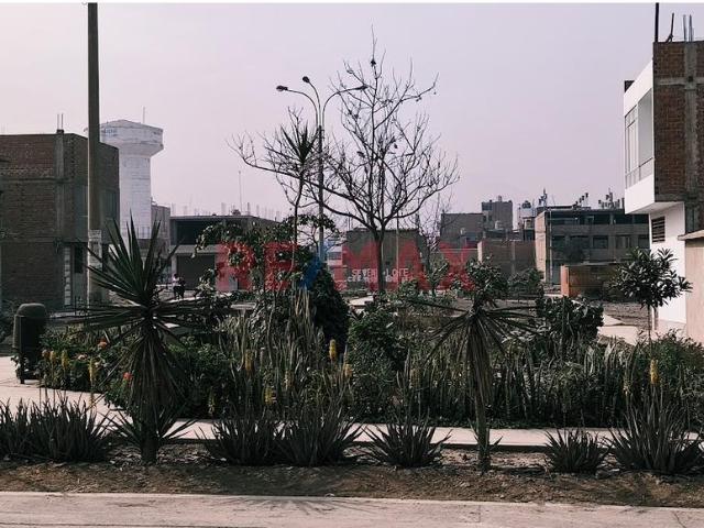 Terreno venta en Chacarilla De Carabayllo, Lima Metropolitana