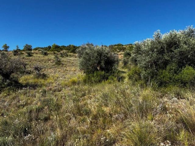 Terreno en venta en Carabaña, Madrid