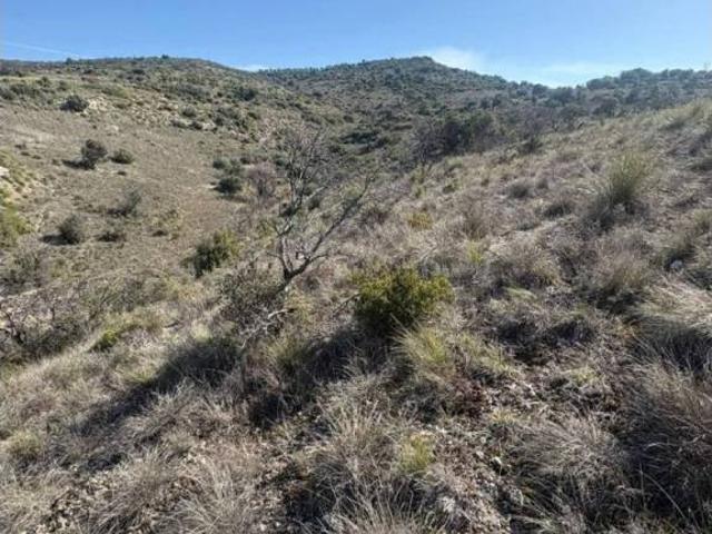 Terreno en venta en Carabaña, Madrid