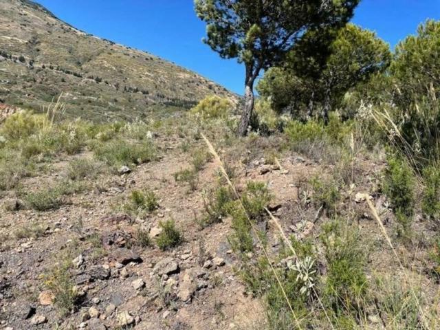 Terreno en venta en Comarca de la Alpujarra Granadina, Andalucía