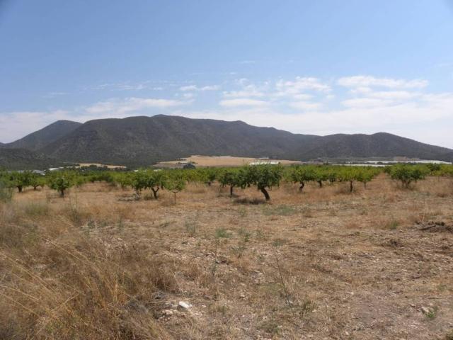 Terreno en venta en Noroeste, Murcia