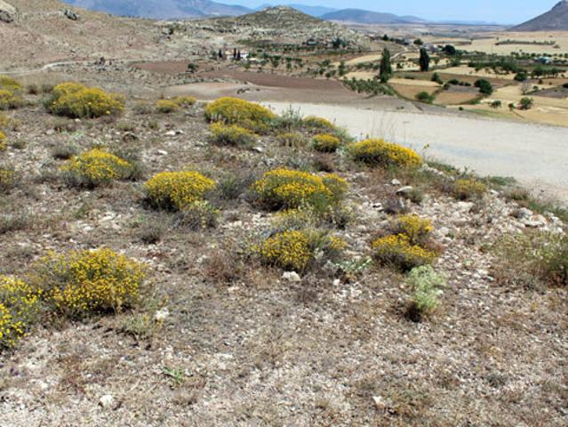 Terreno en venta en Noroeste, Murcia