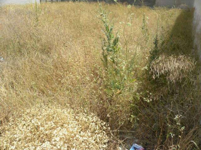 Terreno en venta en Noroeste, Murcia