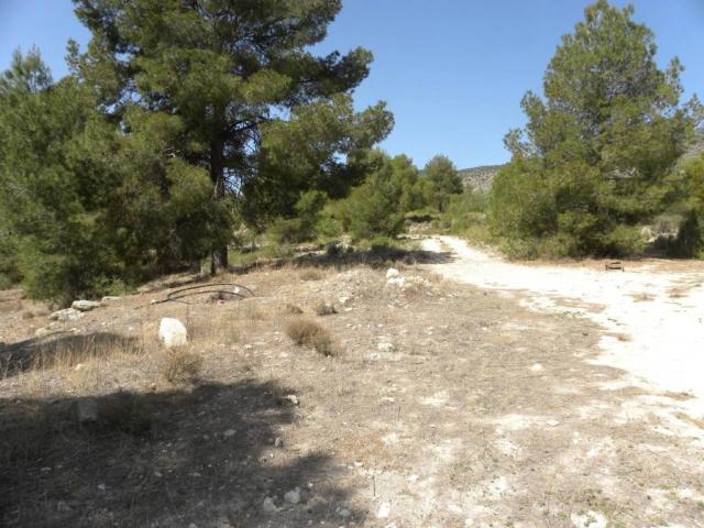 Terreno en venta en Noroeste, Murcia