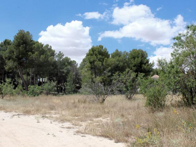 Terreno en venta en Noroeste, Murcia