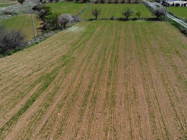 Terreno en venta en Noroeste, Murcia