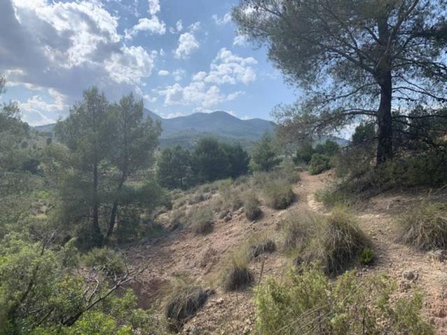 Terreno en venta en Noroeste, Murcia