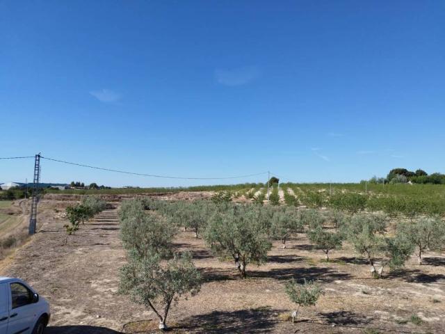 Terreno en venta en Noroeste, Murcia