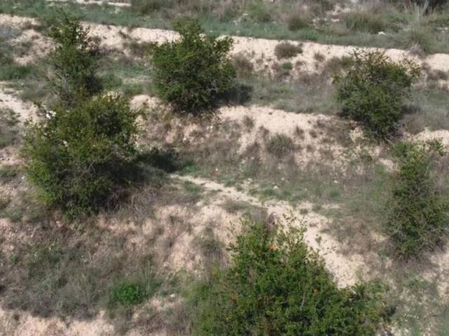 Terreno en venta en Noroeste, Murcia