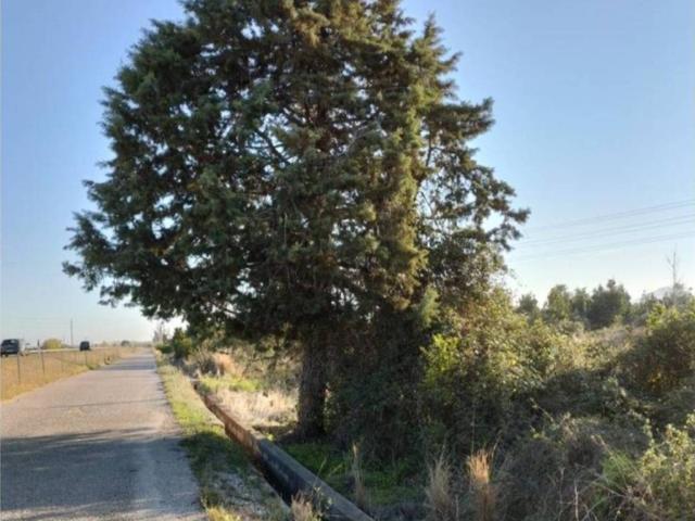 Terreno en venta en Carcaixent, València / Valencia
