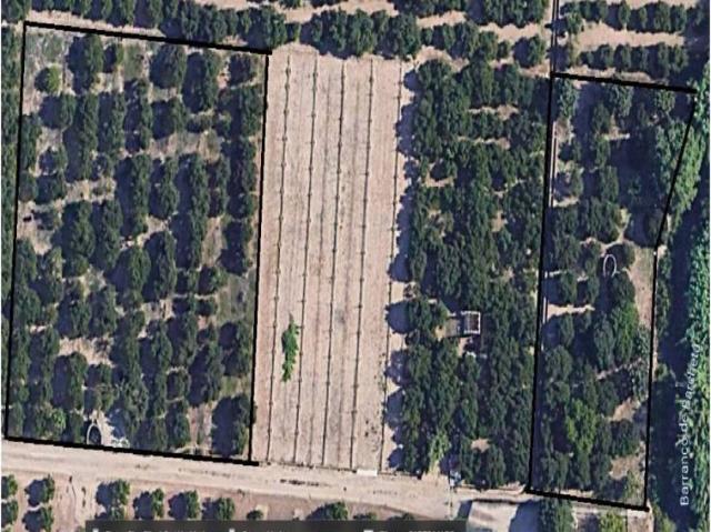 Terreno en venta en la Ribera Alta, Valencia