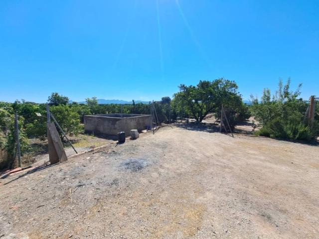 Terreno en venta en la Ribera Alta, Valencia