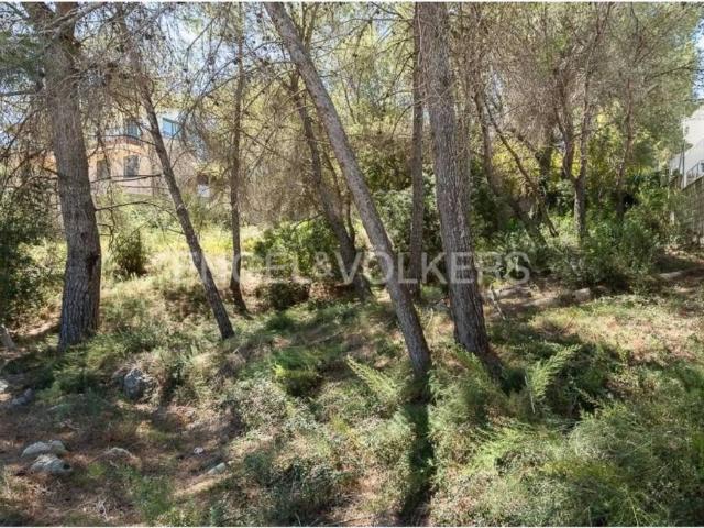 Terreno en venta en la Ribera Alta, Valencia