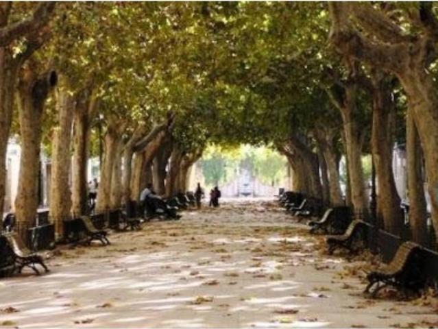Terreno en venta en la Ribera Alta, Valencia