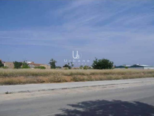 Terreno en venta en la Ribera Alta, Valencia