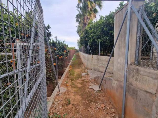 Terreno en venta en la Ribera Alta, Valencia