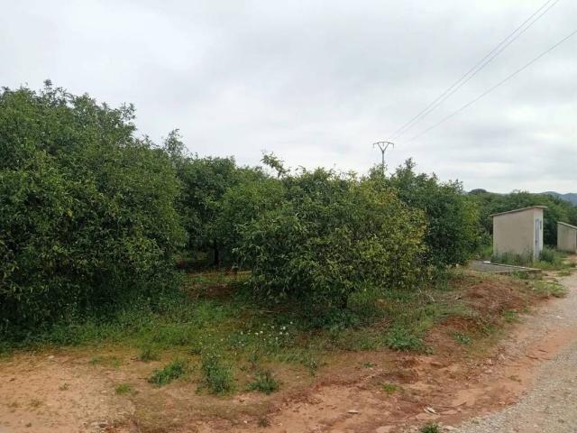 Terreno en venta en la Ribera Alta, Valencia