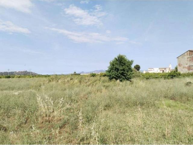 Terreno en venta en Càrcer, València / Valencia