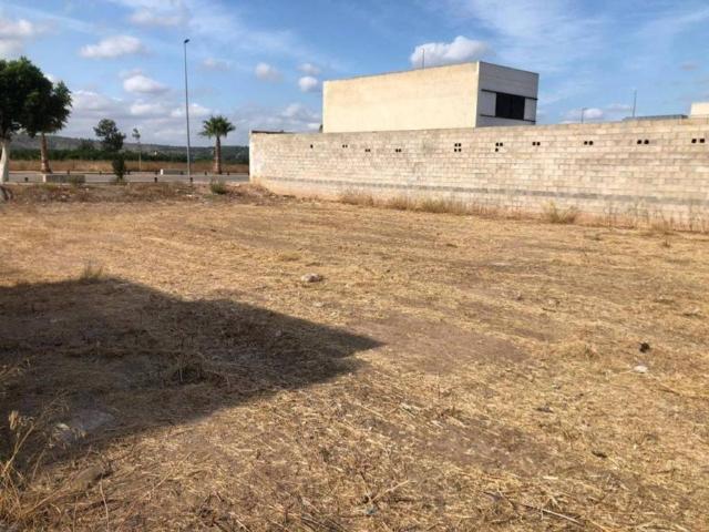 Terreno en venta en la Ribera Alta, Valencia