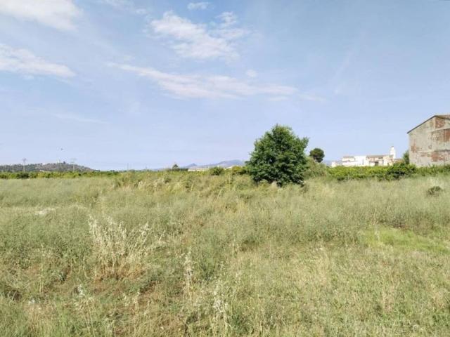 Terreno en venta en Càrcer, València / Valencia