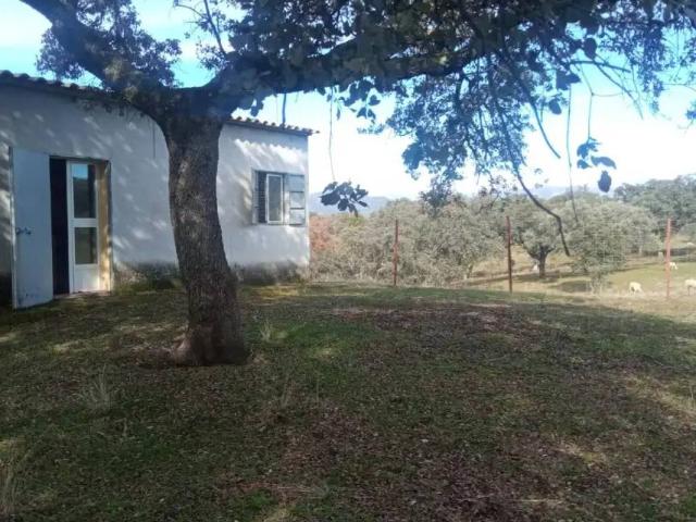 Terreno en venta en Cardeña, Andalucía