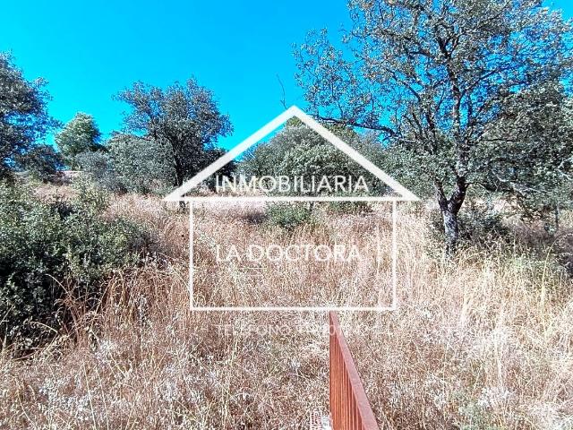 Terreno en venta en Cardiel De Los Montes, Atalaya del Alberche