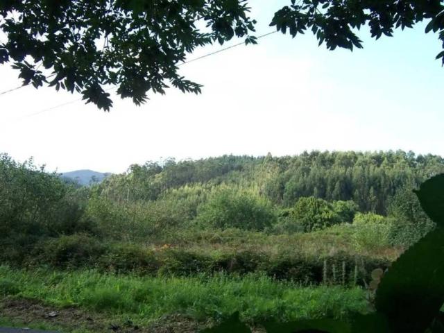 Terreno en venta en A Pedra, Ortegal