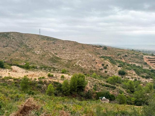 Terreno en venta en la Ribera Alta, Valencia