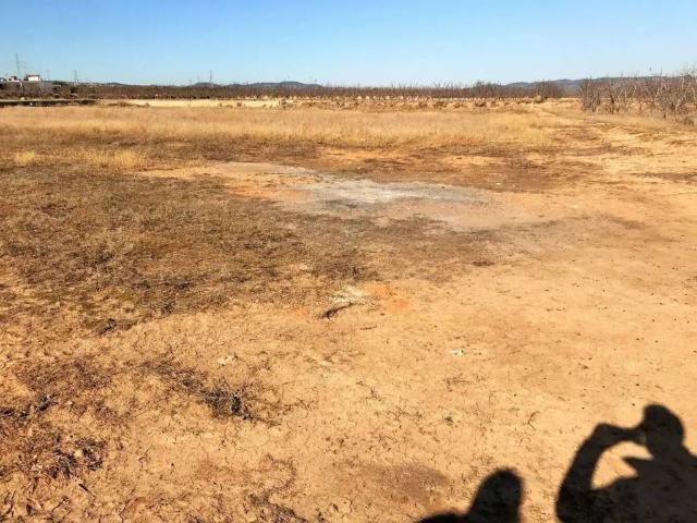 Terreno en venta en la Ribera Alta, Valencia