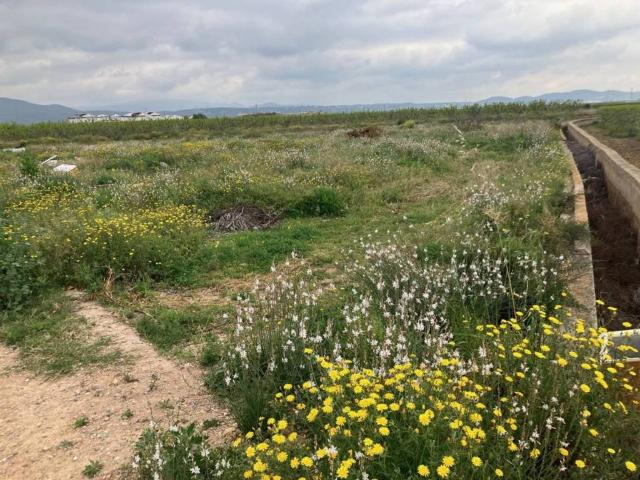Terreno en venta en la Ribera Alta, Valencia