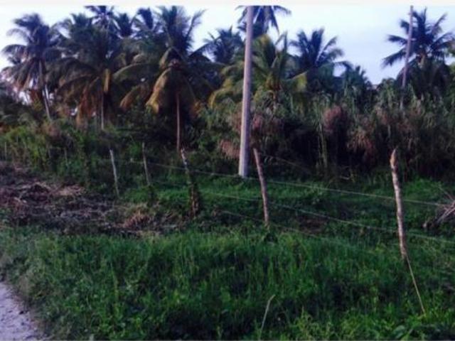 Terreno en Venta en Carlos Rovirosa 2da. Sección, Centla, Tabasco