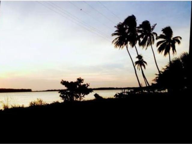 Terreno en Venta en Carlos Rovirosa 2da. Sección, Centla, Tabasco