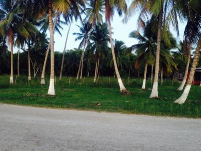 Terreno en Venta en Carlos Rovirosa 2da. Sección, Centla, Tabasco